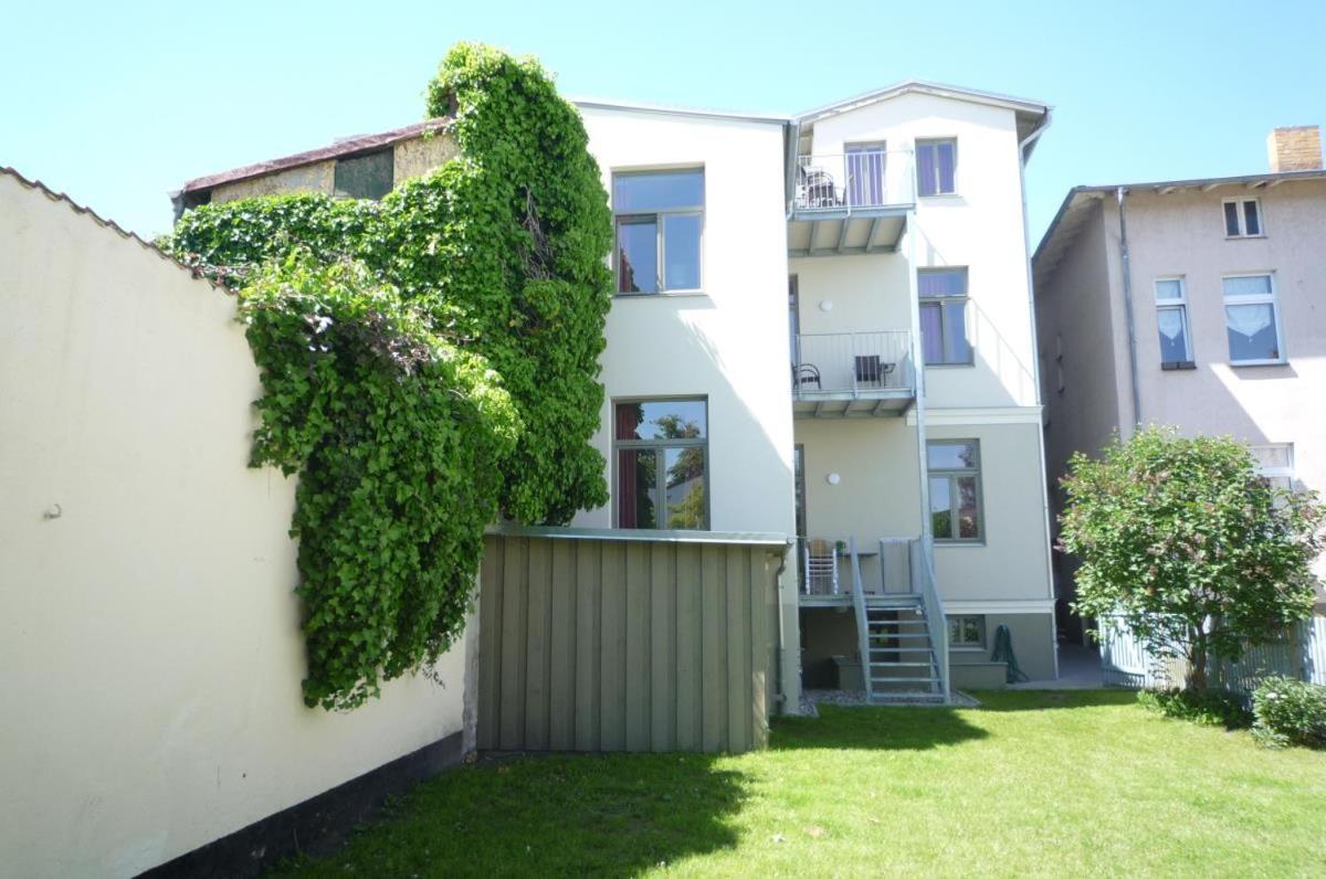 Seevogel/fischreiher * Rostock